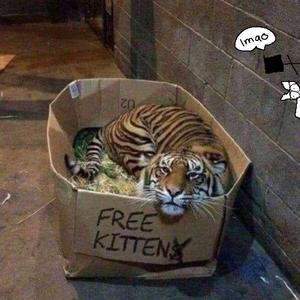 日乐山老少妇多毛逼
