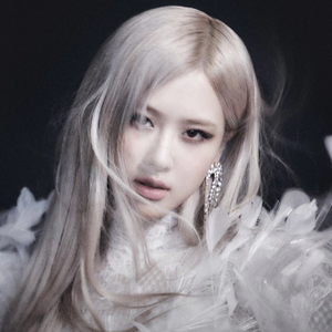 特级西西人体高清大胆的功能介绍
