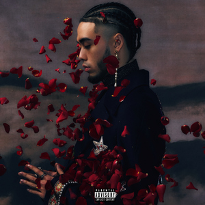 AlettaOcean精品系列
