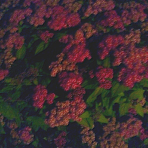 oldGaHay胖老头JJ勃起
