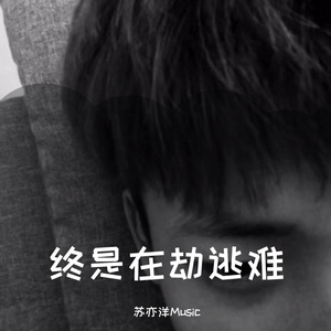 中文字幕综合在线观看
