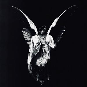 欧洲亚洲视频免看
