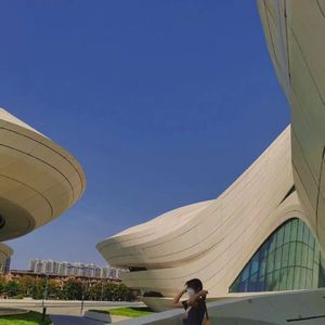 欧美大bbbxxx视频
