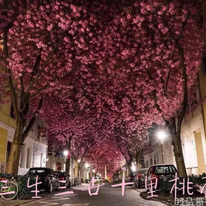 做爱小黄片啊啊
