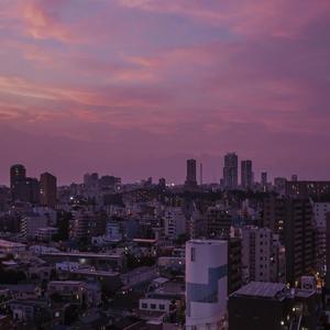 国内精品久久人妻无码不卡
