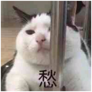 china厨房乱婬刺激
