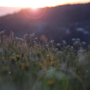 人人操人人色精品网站
