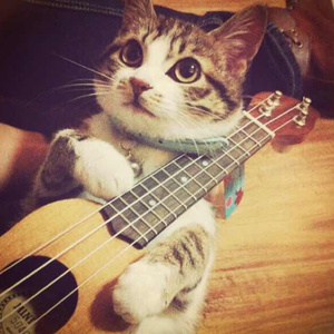 日乐山老少妇多毛逼
