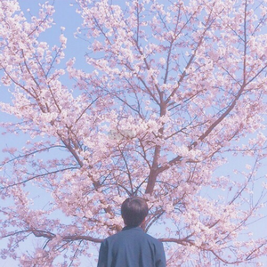 AlettaOcean精品系列
