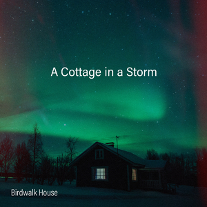 欧美一級黃色電影免費無毒不卡
