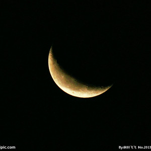 99在线免费观看
