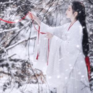 中文字幕综合在线观看
