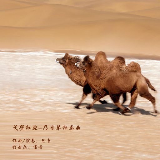 乌龟录像国际黄色三级片
